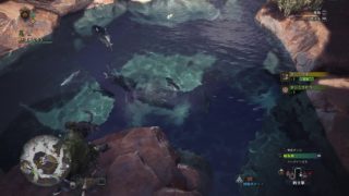 モンスターハンター：ワールド　ドスキレアジ