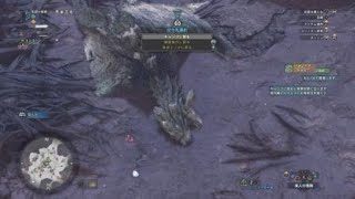 モンスターハンター：ワールド_20180517005301