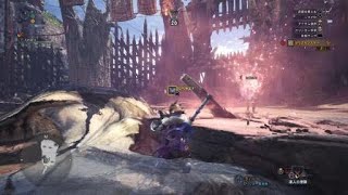 モンスターハンター ガロンギエナ03