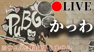 【PUBG】かっわ！（可愛いって意味）配信