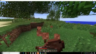 【PC版】マインクラフト　ソウムクラフト初心者がやるよ