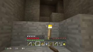 らいる君と「マインクラフト」#2