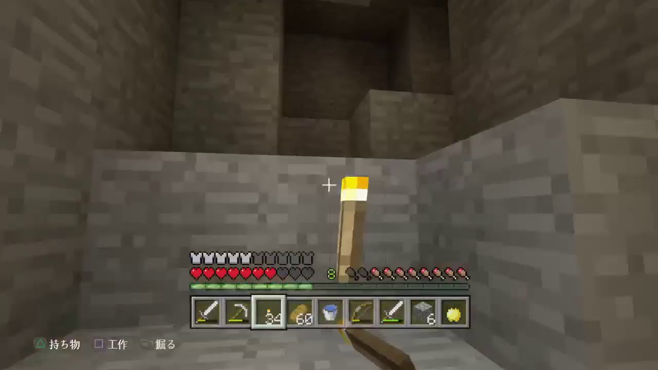 らいる君と「マインクラフト」#2