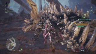 モンスターハンター：ワールド　18/05/04/21:55