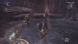 おくさんがモンスターハンターワールドで調査クエをフレンドとやってみる