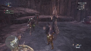 おくさんがモンスターハンターワールドで調査クエをフレンドとやってみる