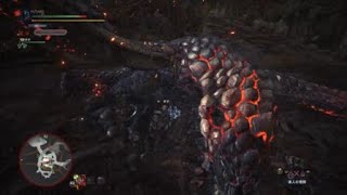 モンスターハンター：ワールド_20180522213221