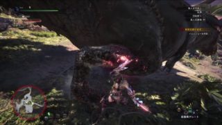 【モンスターハンターワールド】あやvsいびるじょー！【PS4】