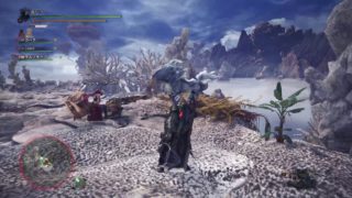 モンスターハンター：ワールド_20180508012446