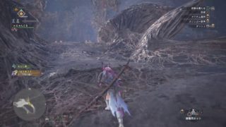 モンスターハンター：ワールド_20180524064224