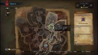 モンスターハンター：ワールド_20180511221142