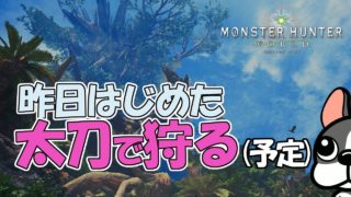 【MHW実況】昨日始めた太刀で狩る（予定）【モンハンワールド】
