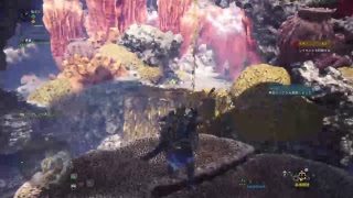 モンスターハンターワールド14 「障気の谷　下層へ」