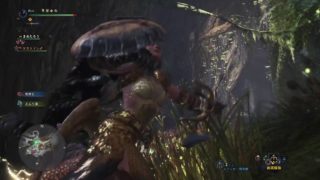 モンスターハンター：ワールド_20180524151528