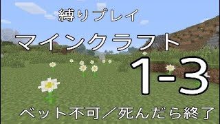 ［1-3］縛りプレイマインクラフト（ベット不可：ノーコン）