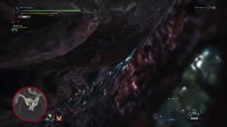 ジョーランスvs歴戦ヴァルハザク_約9分討伐（モンスターハンター：ワールド_20180511）