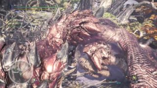 みんなでリオレウス狩猟　モンスターハンター：ワールド