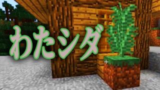 【マインクラフト】わたシダ！！：まぐにぃのマイクラマルチ#番外編