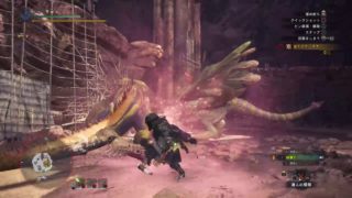 モンスターハンター：ワールド_20180526202548