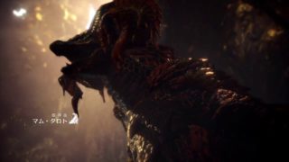 PS4 モンスターハンターワールド:再戦 マムタロト★１