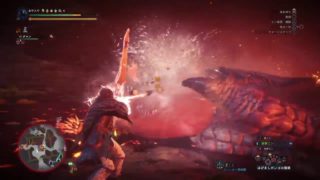 ハンマーよりも良い相性？！　弓&強打の装衣　モンスターハンター：ワールド_20180508