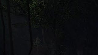 【モンスターハンター：ワールド]】初見ドスジャグラス