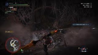 モンスターハンター：ワールド_20180506023041