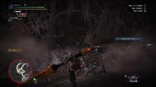 モンスターハンター：ワールド_20180506023041