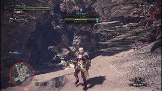 モンスターハンター：ワールド_20180527014038