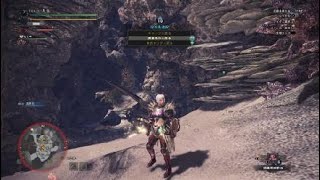 モンスターハンター：ワールド_20180527014038