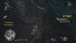 モンスターハンター：ワールド　ゴワゴワクイナ