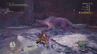 モンスターハンター：ワールド_20180502010319