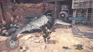 モンスターハンター：ワールド_20180509044326