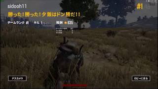 【PUBG実況#061】DUOでドン勝目指して【tk勝】