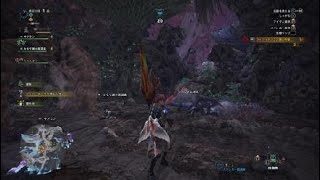 モンスターハンター：ワールド_20180508201327