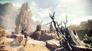 #13上位【リオレイア亜種＆リオレウス】モンスターハンター：ワールド