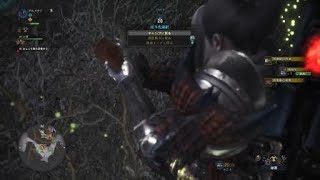 モンスターハンター：ワールド_20180501045835