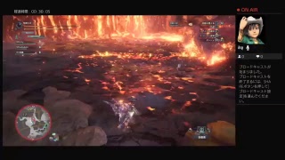 モンスターハンターワールド　視聴者参加型