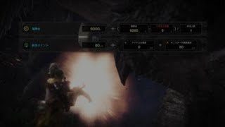 モンスターハンター：ワールド_20180526092738