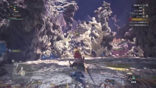 【モンスターハンターワールド】初心者が狩りしたり眺めたりする