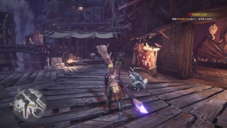 【モンスターハンターワールド】初心者が狩りしたり眺めたりする