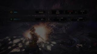 モンスターハンター：ワールド_20180522140528
