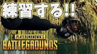 [PUBG]スクワッドで楽しく練習☆[ママ実況］