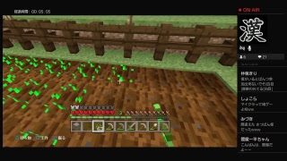 【初見さん、歓迎】マインクラフト！今日は何しよう？【雑談枠】