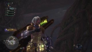 モンスターハンター：ワールド_20180520125409