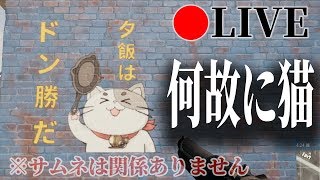 【PUBG】猫がドン勝したら誰も損しない配信