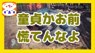 【MHW】俺とお前じゃSは無理！？Part.13【モンスターハンター:ワールド】