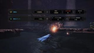 モンスターハンター：ワールド_20180527014351