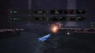 モンスターハンター：ワールド_20180527014351