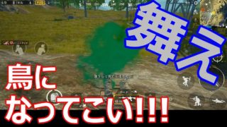 【PUBG MOBILE】ゆるり実況#10(スマホ版) 鳥になれない社畜【落下死】